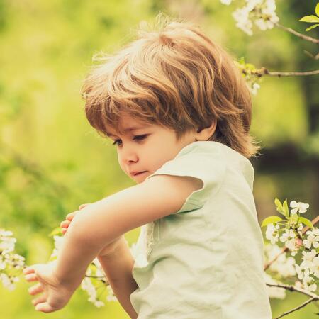  kleiner Junge mit einem Insektenstich
